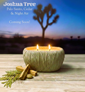 Joshua Tree
